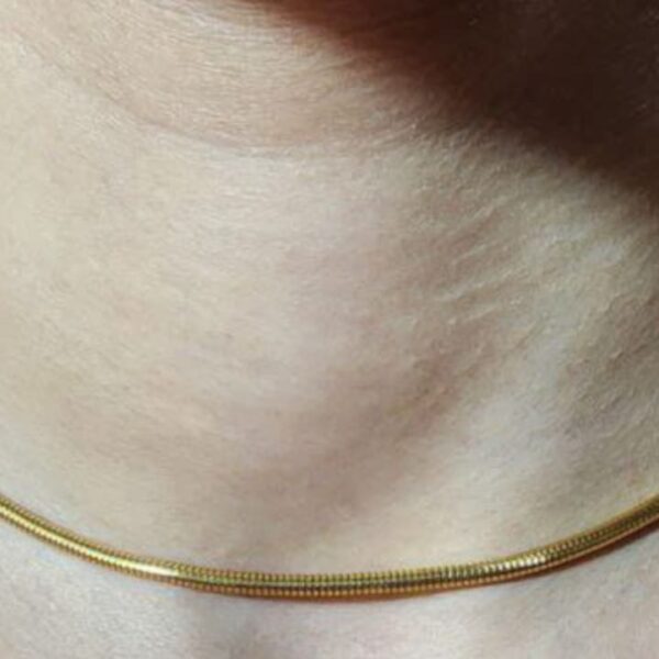 Stainless Steel Necklace A